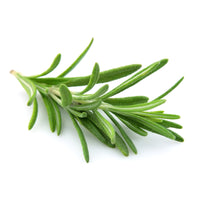 Bio Yogamatten-Reiniger - fresh rosemary - 500 ml - YOGISHOP