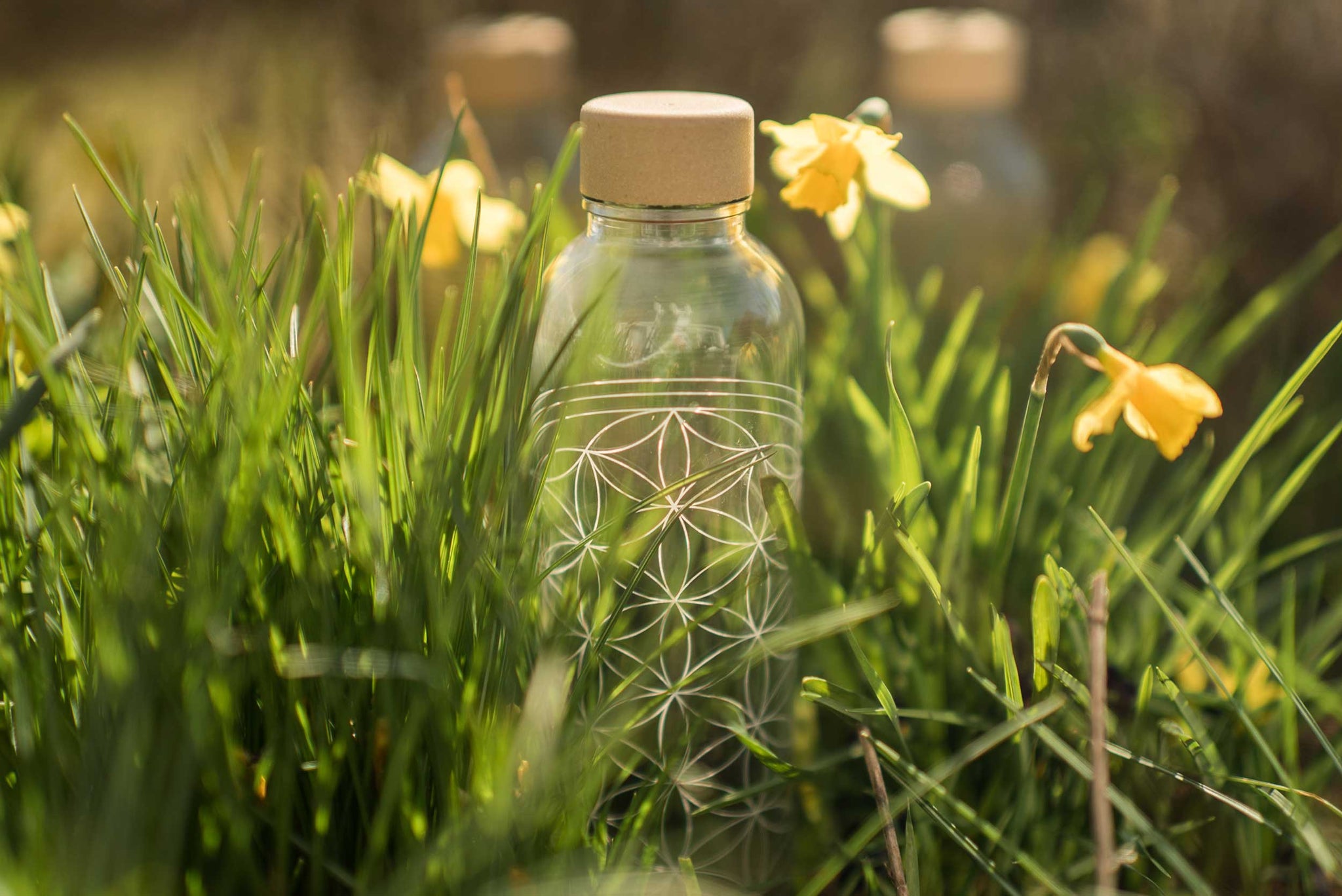 Carry-Bottle 0,7 l - YOGISHOP