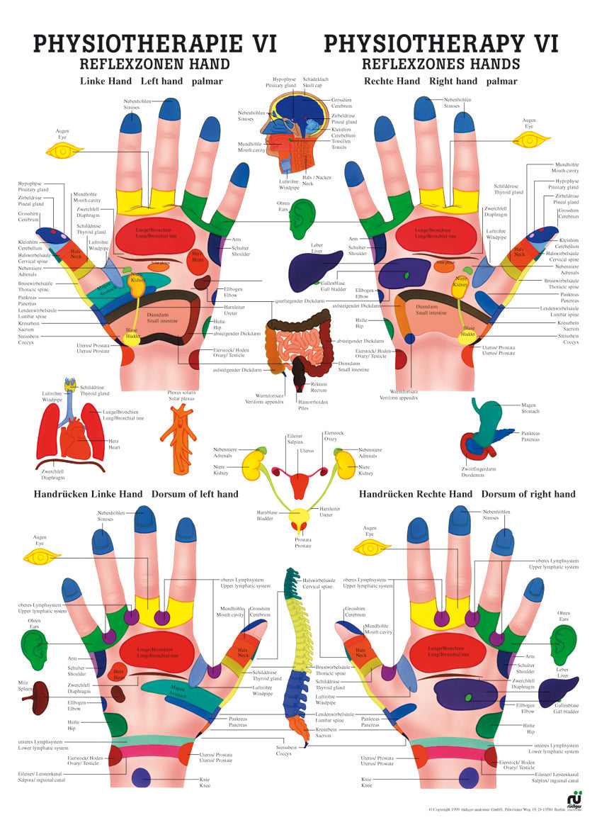handreflexzonen handschuhe Reflexzonen Hand