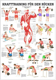 Krafttraining für den Rücken (Lehrtafel 70cm x 100cm) - YOGISHOP