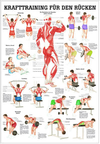 Krafttraining für den Rücken (Lehrtafel 70cm x 100cm) - YOGISHOP