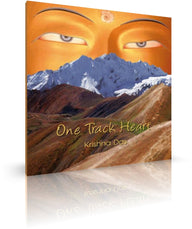 One track heart von Krishna Das (CD) - YOGISTAR