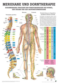 Meridiane und Dorntherapie - YOGISHOP