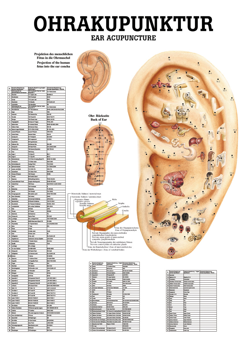 Ohrakupunktur - YOGISTAR