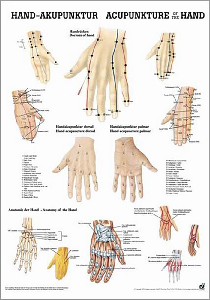 Hand-Akupunktur (Poster 24cm x 34cm) - YOGISTAR