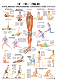 Stretching 3