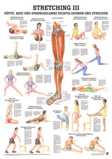 Stretching 3 - YOGISHOP