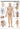 Lymphsystem des Menschen (Poster 24cm x 34cm) - YOGISHOP