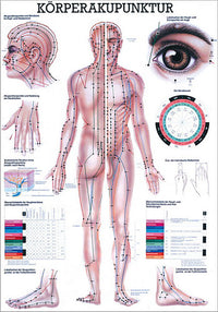 Körperakupunktur (Poster 50cm x 70cm)