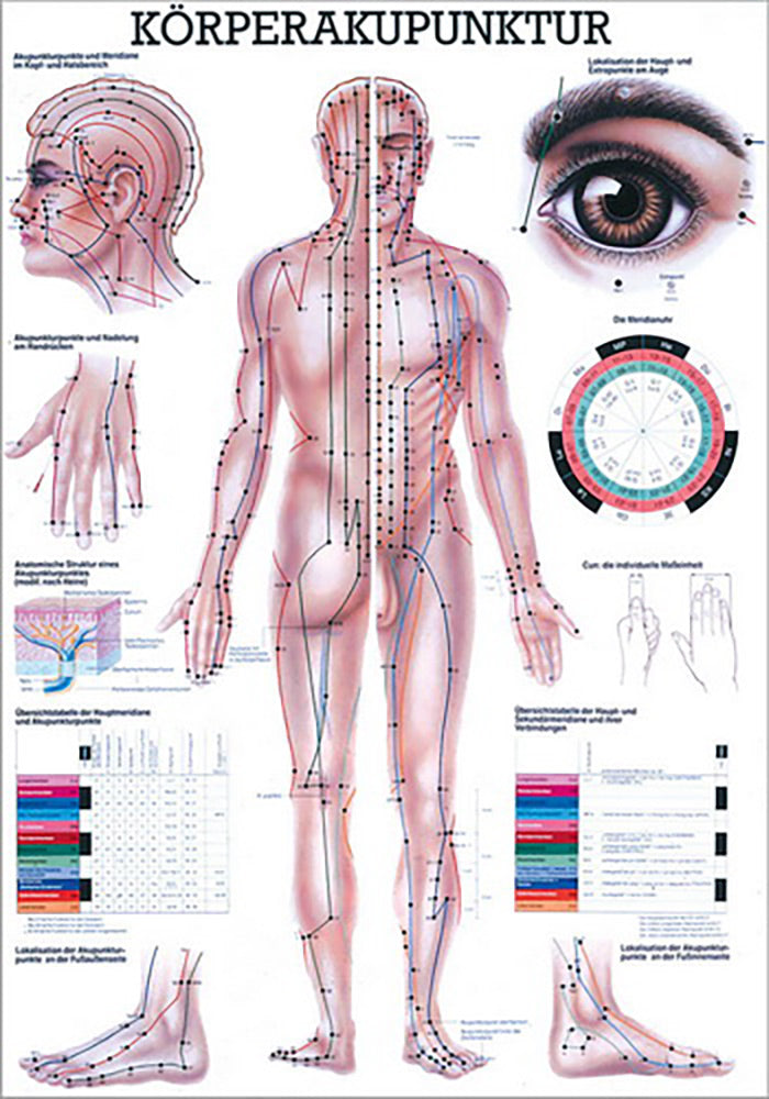 Körperakupunktur (Poster 50cm x 70cm)