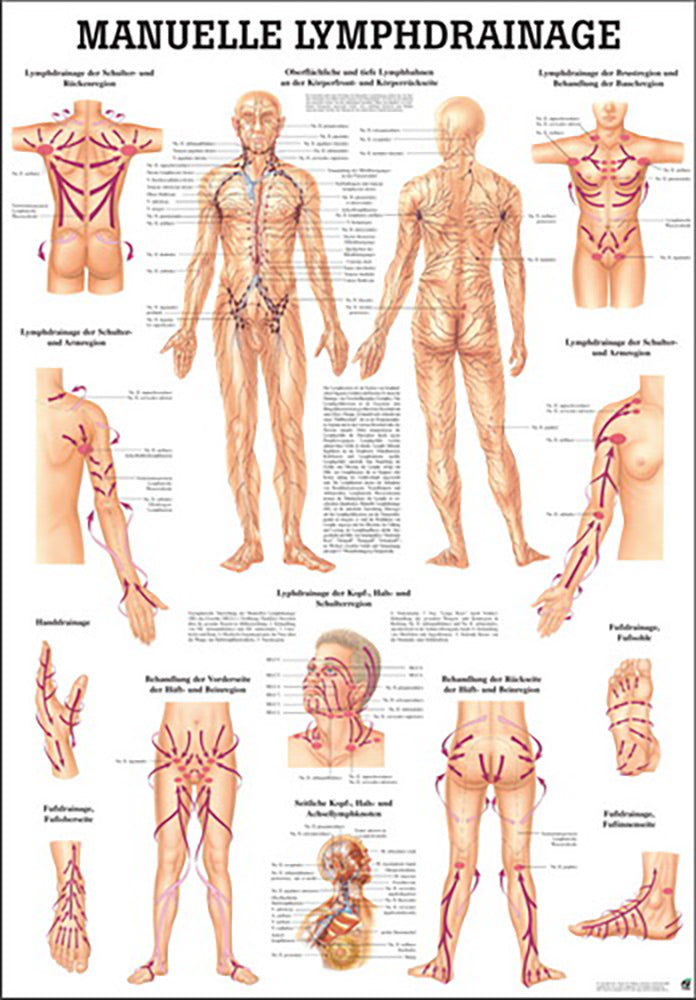 Manuelle Lymphdrainage (Lehrtafel 70cm x 100 cm) - YOGISHOP