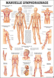 Manuelle Lymphdrainage (Lehrtafel 70cm x 100 cm) - YOGISHOP