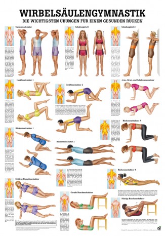Spinal gymnastics Poster 24cm x 34cm